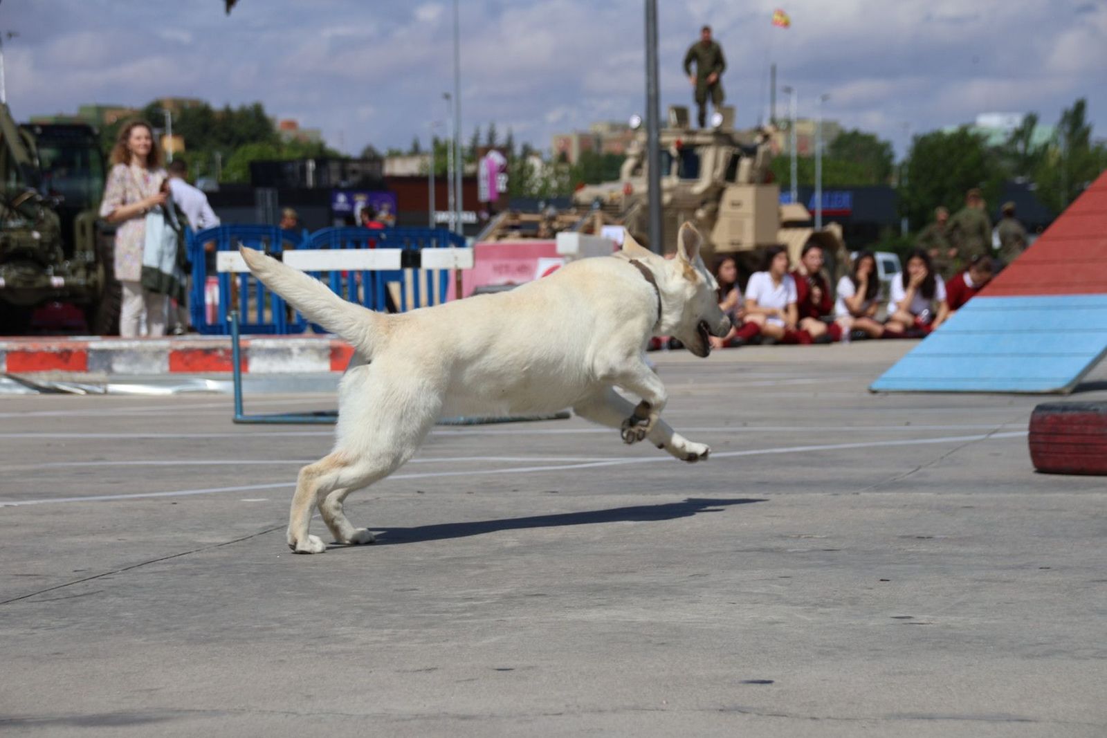 20230608102802-img-0434