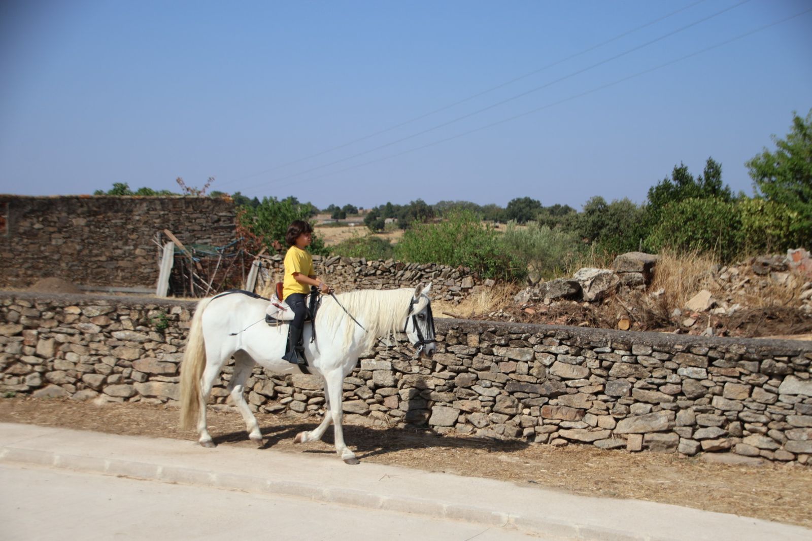 Lumbrales encierro a caballo