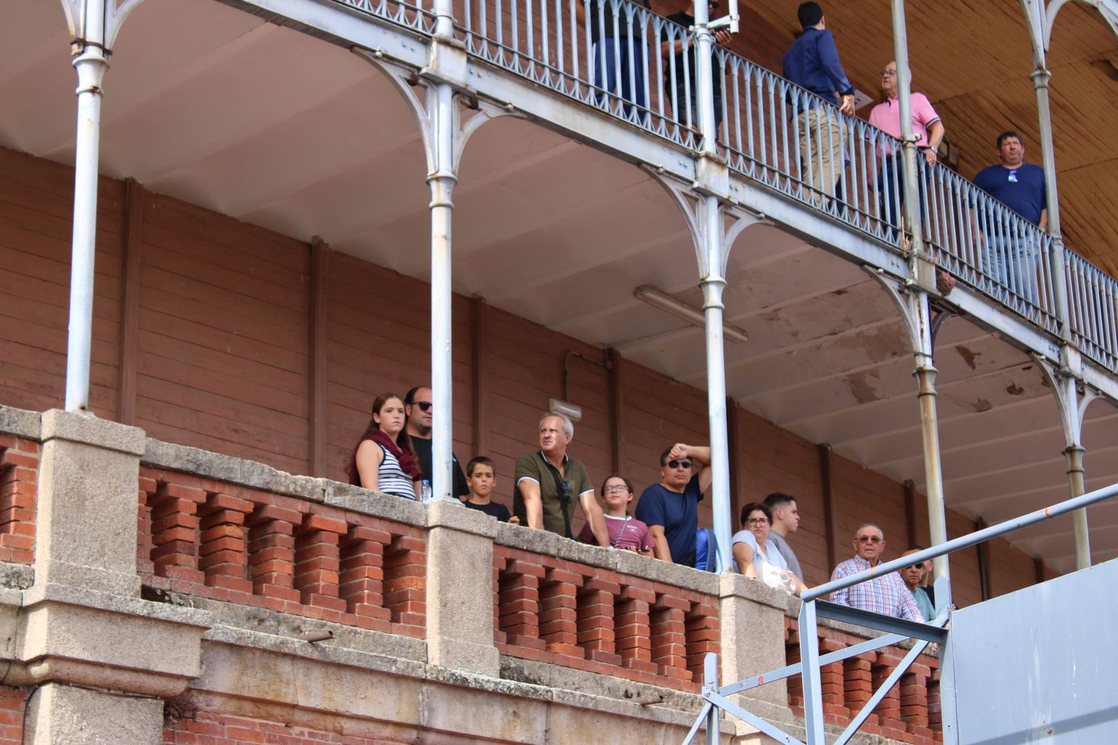 Un encierro de grata presentación de Sánchez y Sánchez para corrida de rejones de la feria