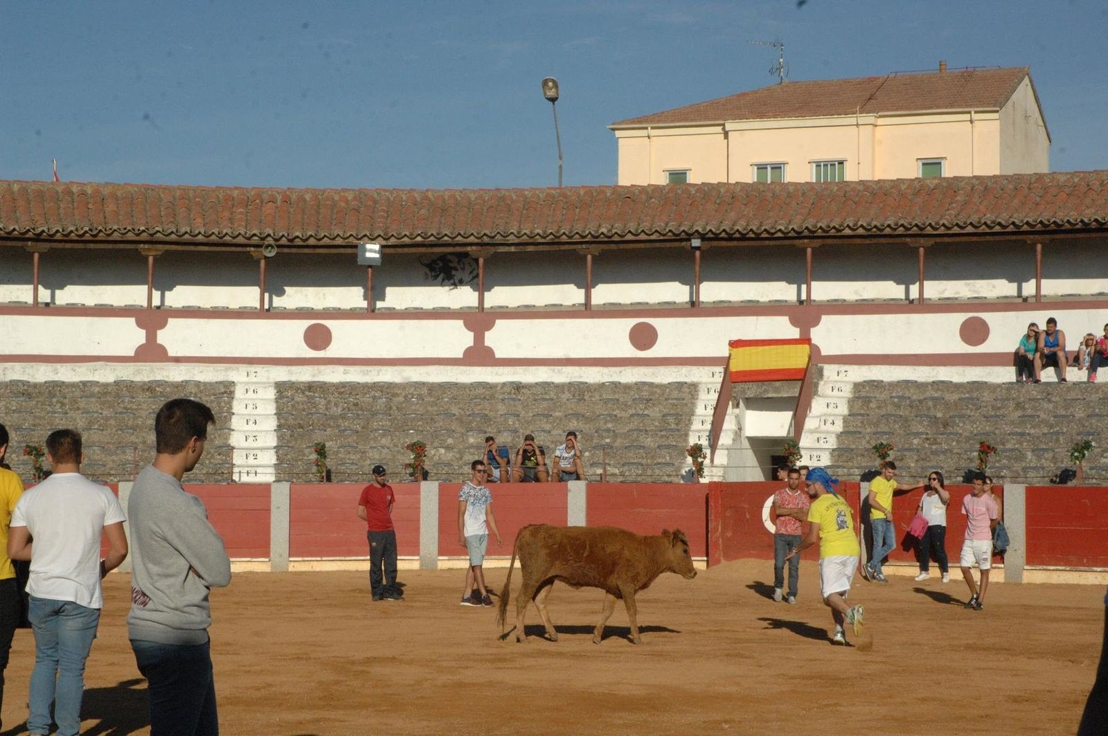 Fiestas de Guijuelo: Vaquilla del Aguardiente