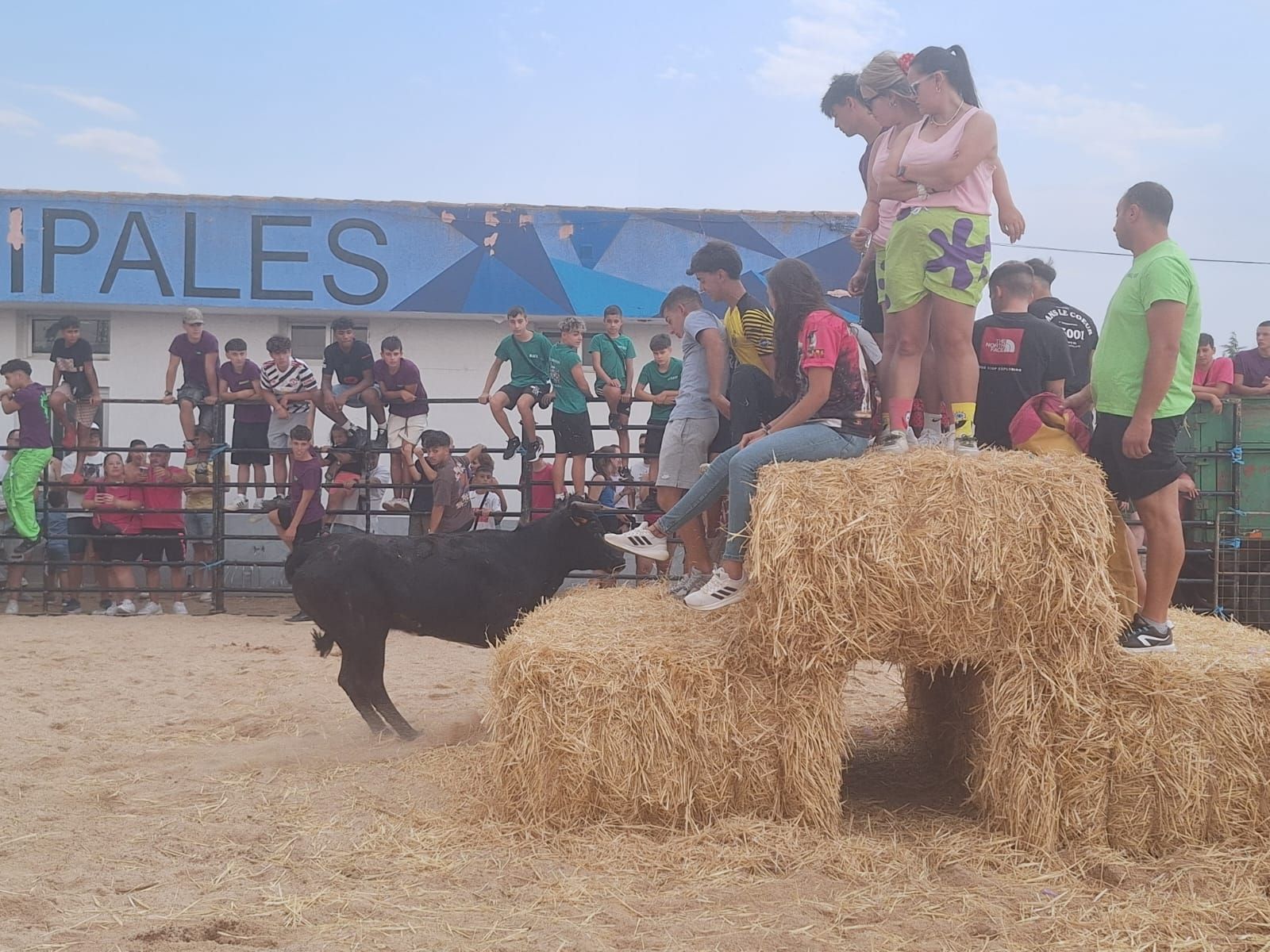Cientos de personas disfrutan de las vaquillas de Valdelosa