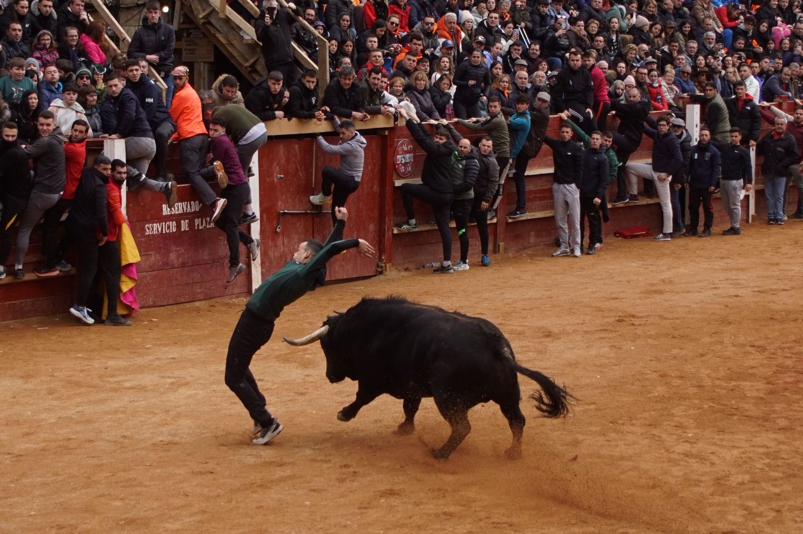 Destacados saltos, quiebros y toreo de capa en la capea del Lunes de Carnaval en Ciudad Rodrigo