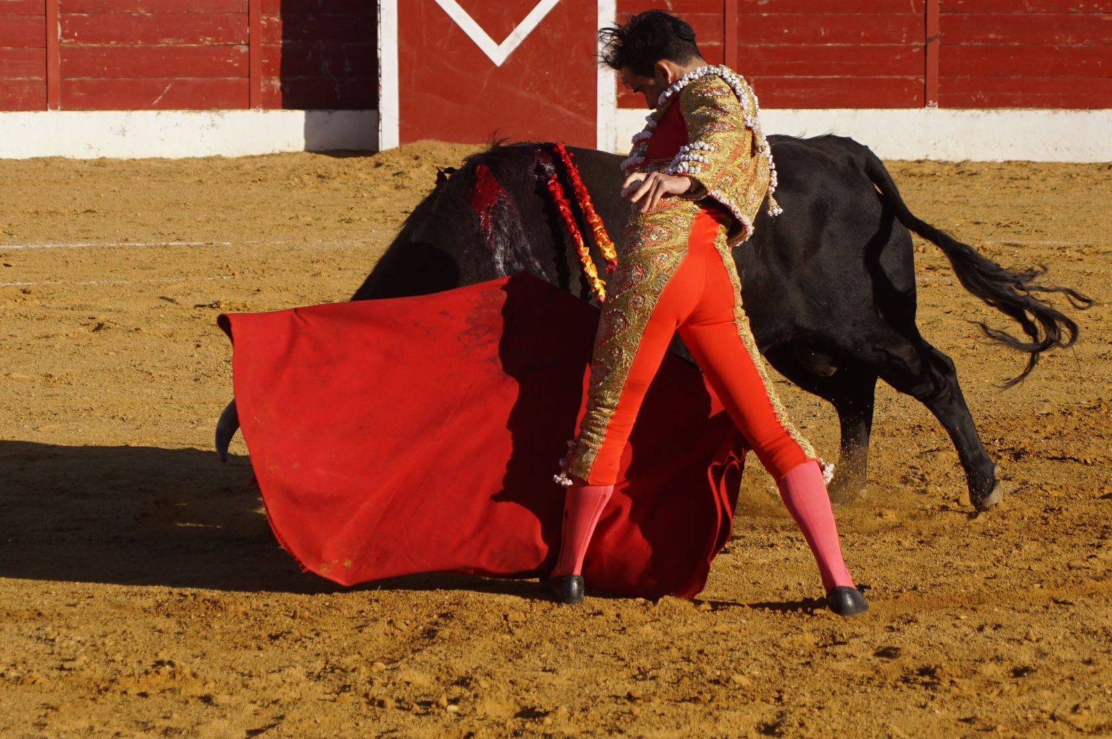 novillada-con-picadores-en-villoria-86