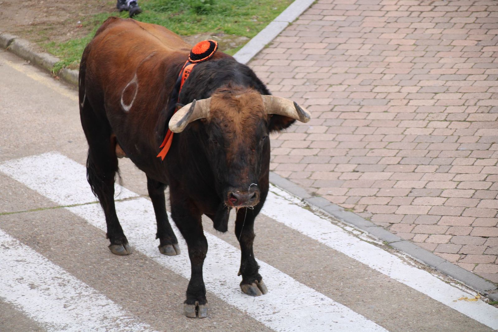 whatsapp-image-2025-03-01-at-11-56-22-1