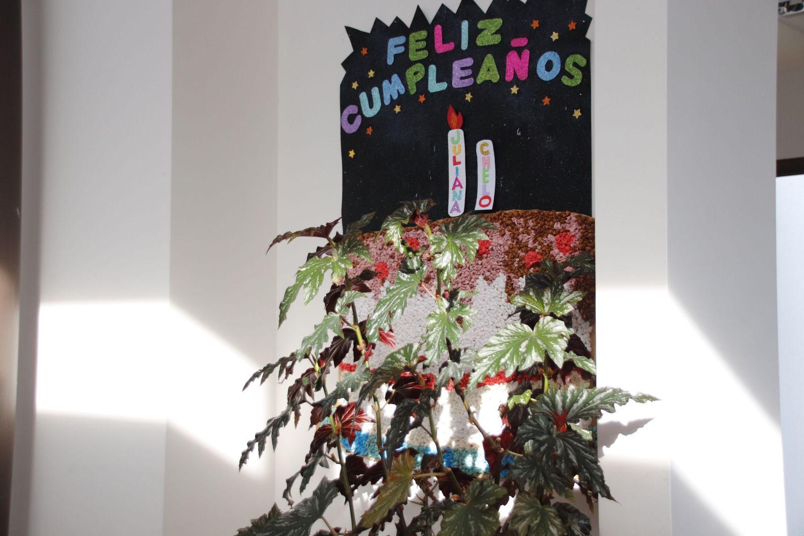 20230215105541-mg-6319