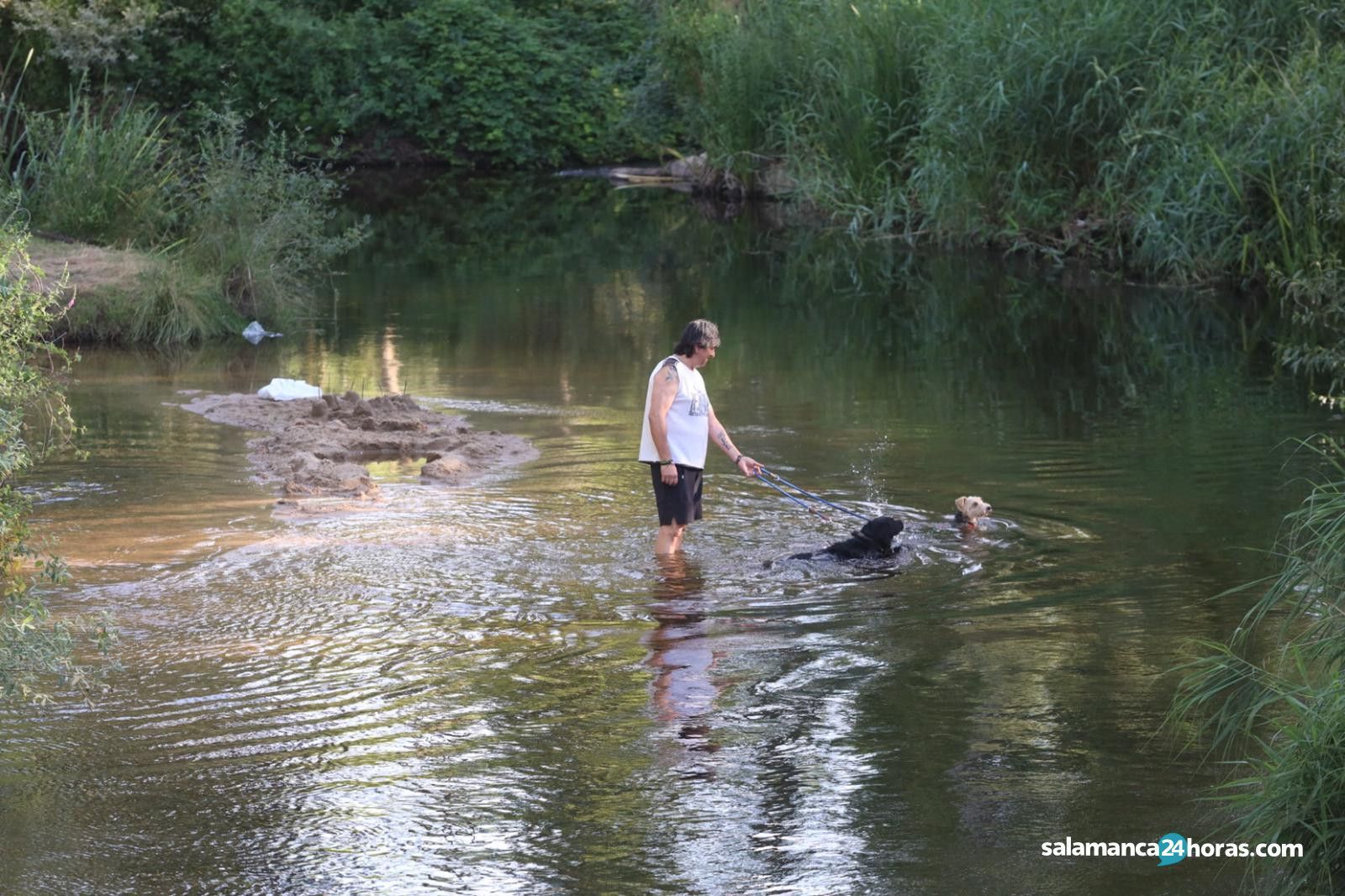 Baños en el río calor  (14)
