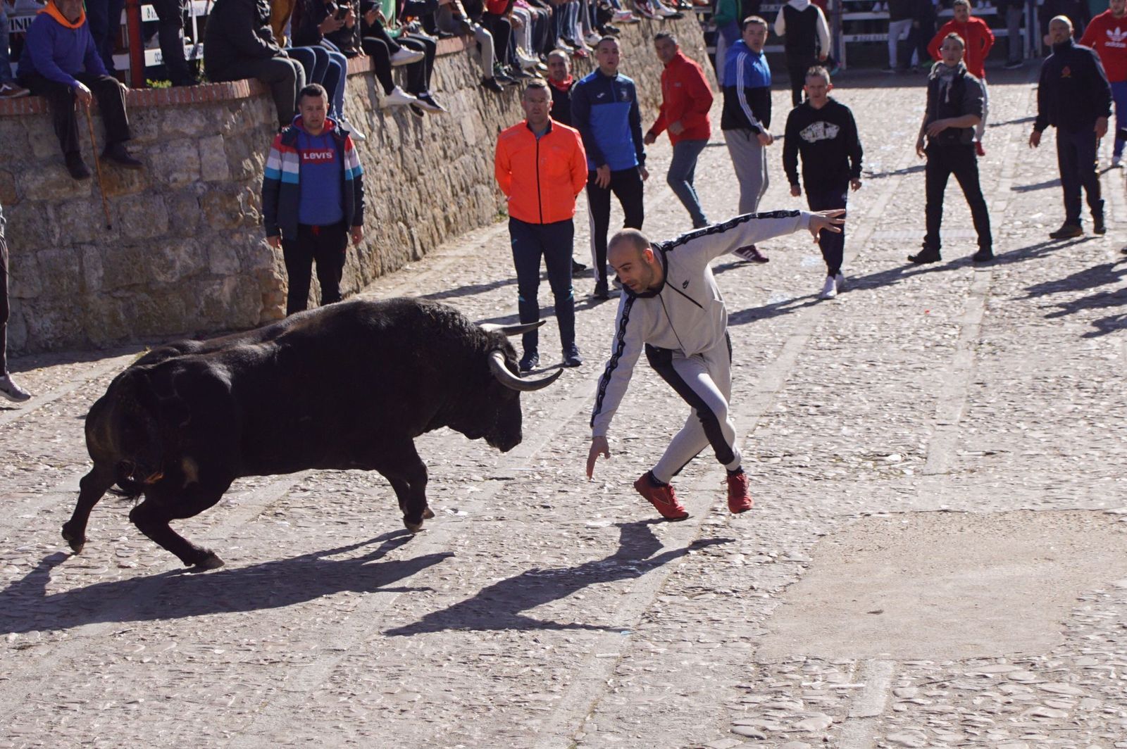 encierro-capea-y-ambiente-en-ciudad-rodrigo-en-este-lunes-de-carnaval-44