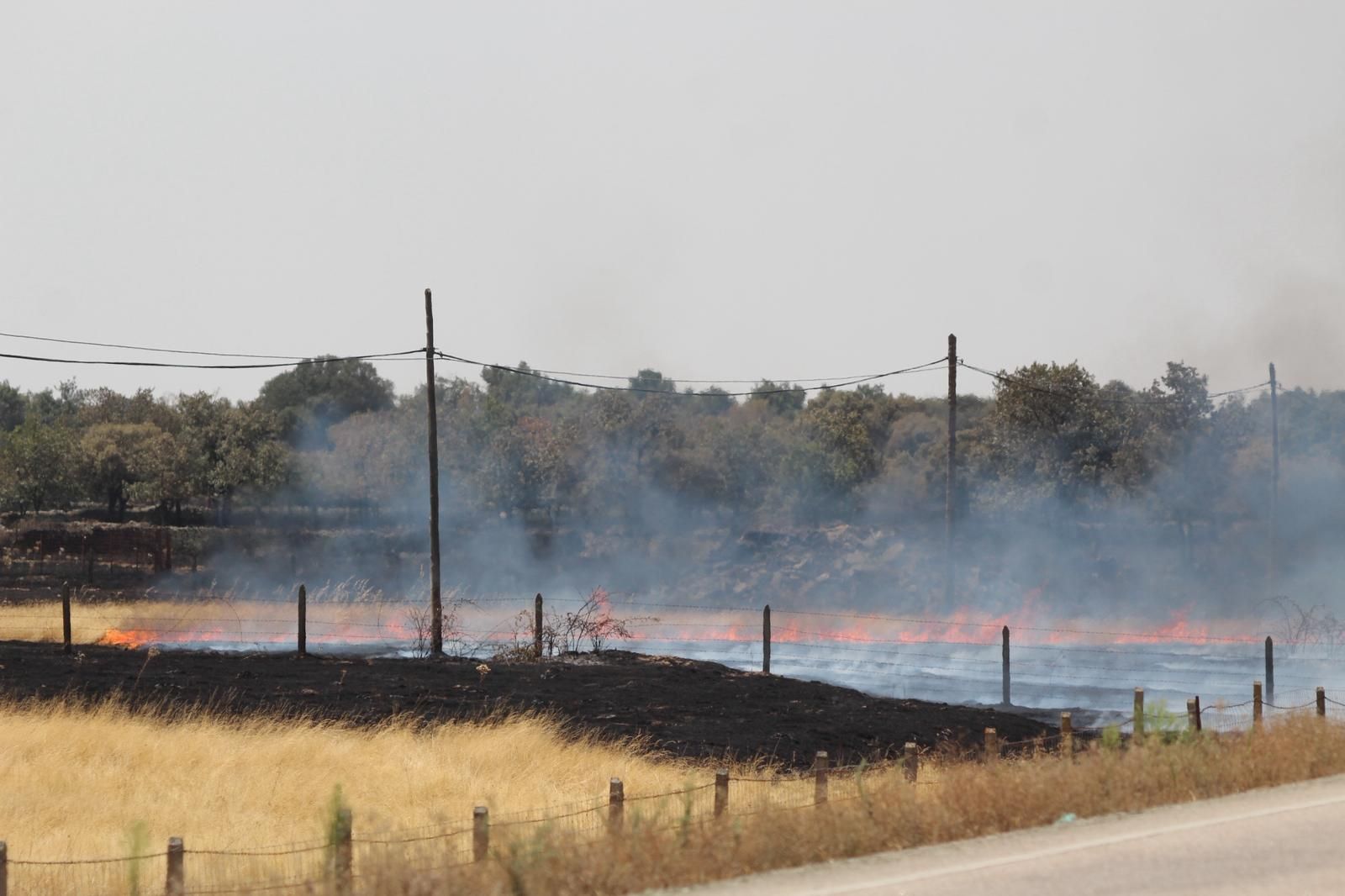 Así han quedado las zonas quemadas durante el incendio de Cipérez
