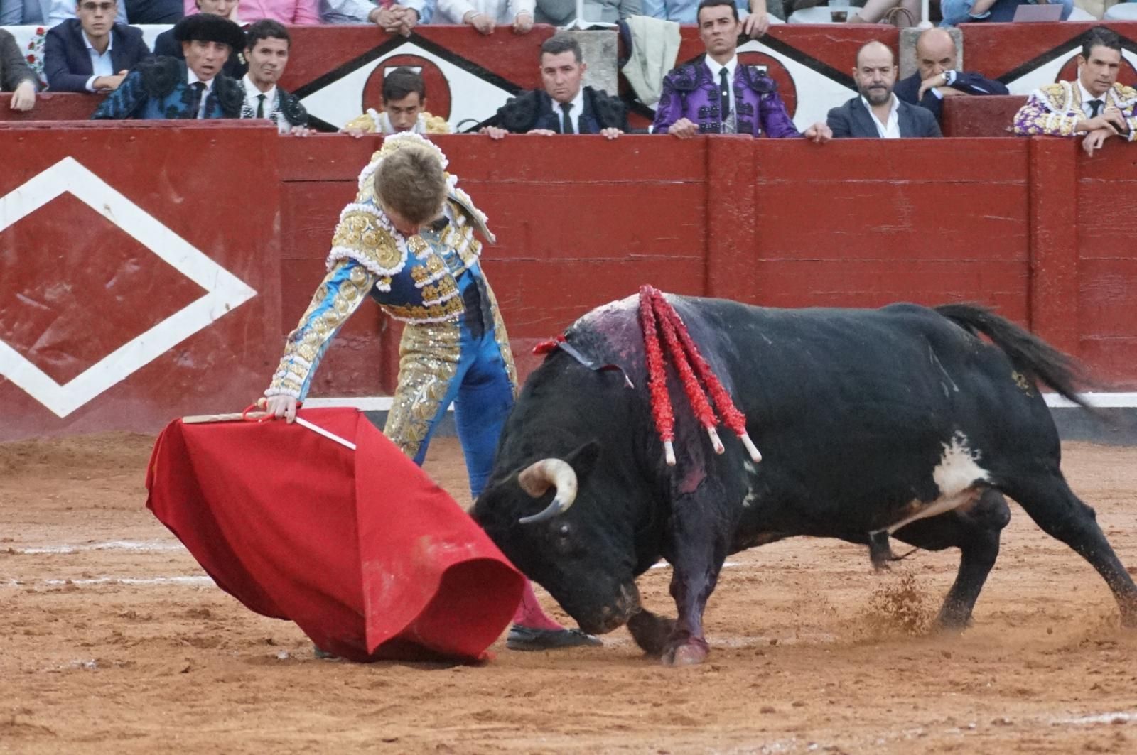 corrida-concurso-momentos-mas-destacados-del-ultimo-festejo-de-abono-de-la-feria-taurina-virgen-de-la-vega-2024-fotos-carlos-h-g-y-juanes-11