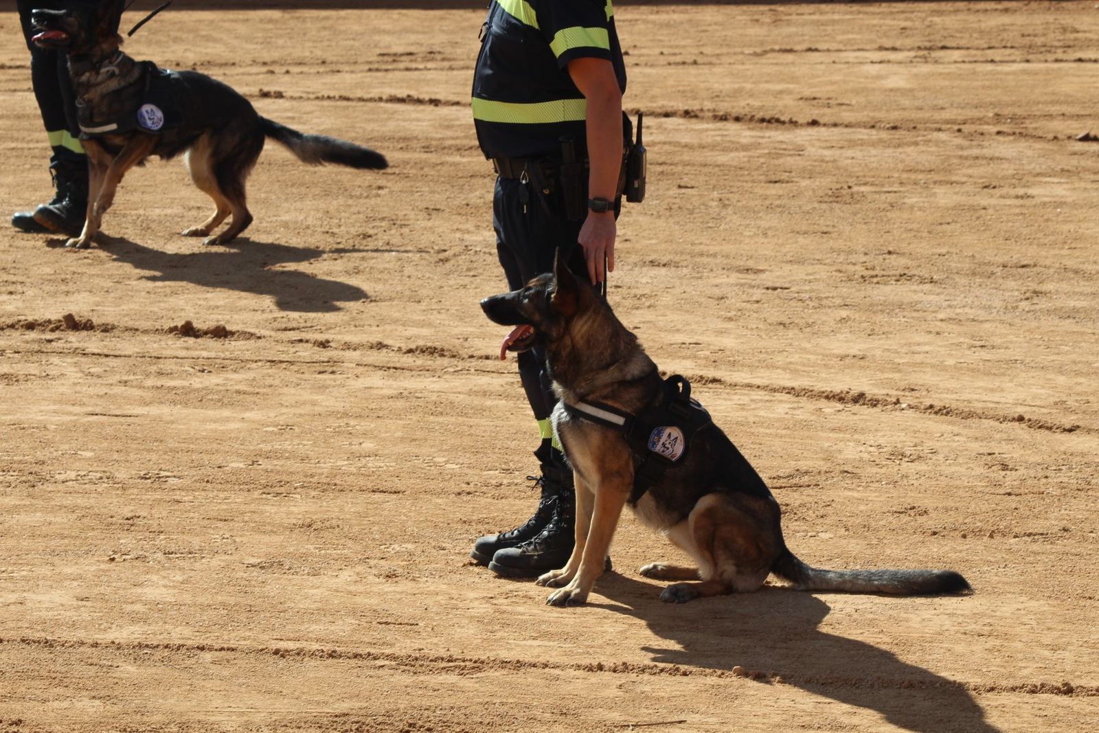 20230905122719-img-7948