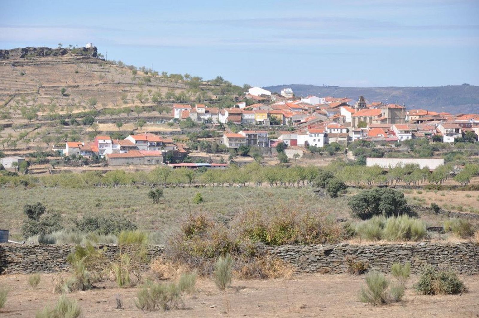 Diez positivos en Vilvestre entre las 238 pruebas realizadas en el cribado masivo