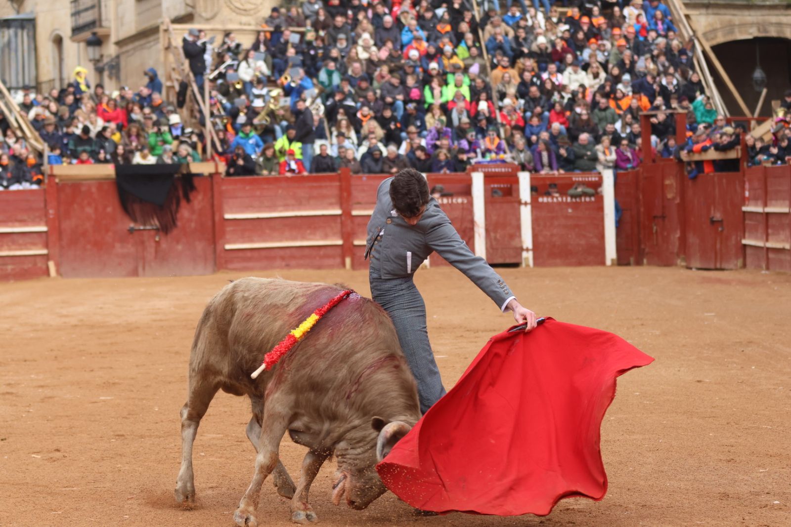 Novillada sin picadores del bolsín taurino y rejones en Ciudad Rodrigo