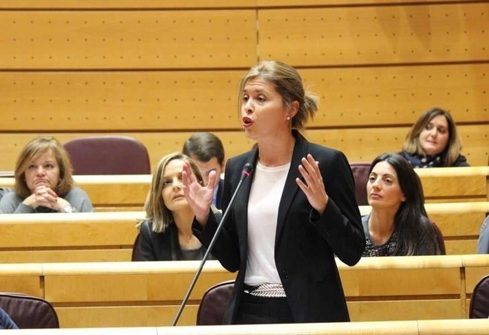 Más de 115.000 personas han usado la alta velocidad entre Zamora y Madrid este año