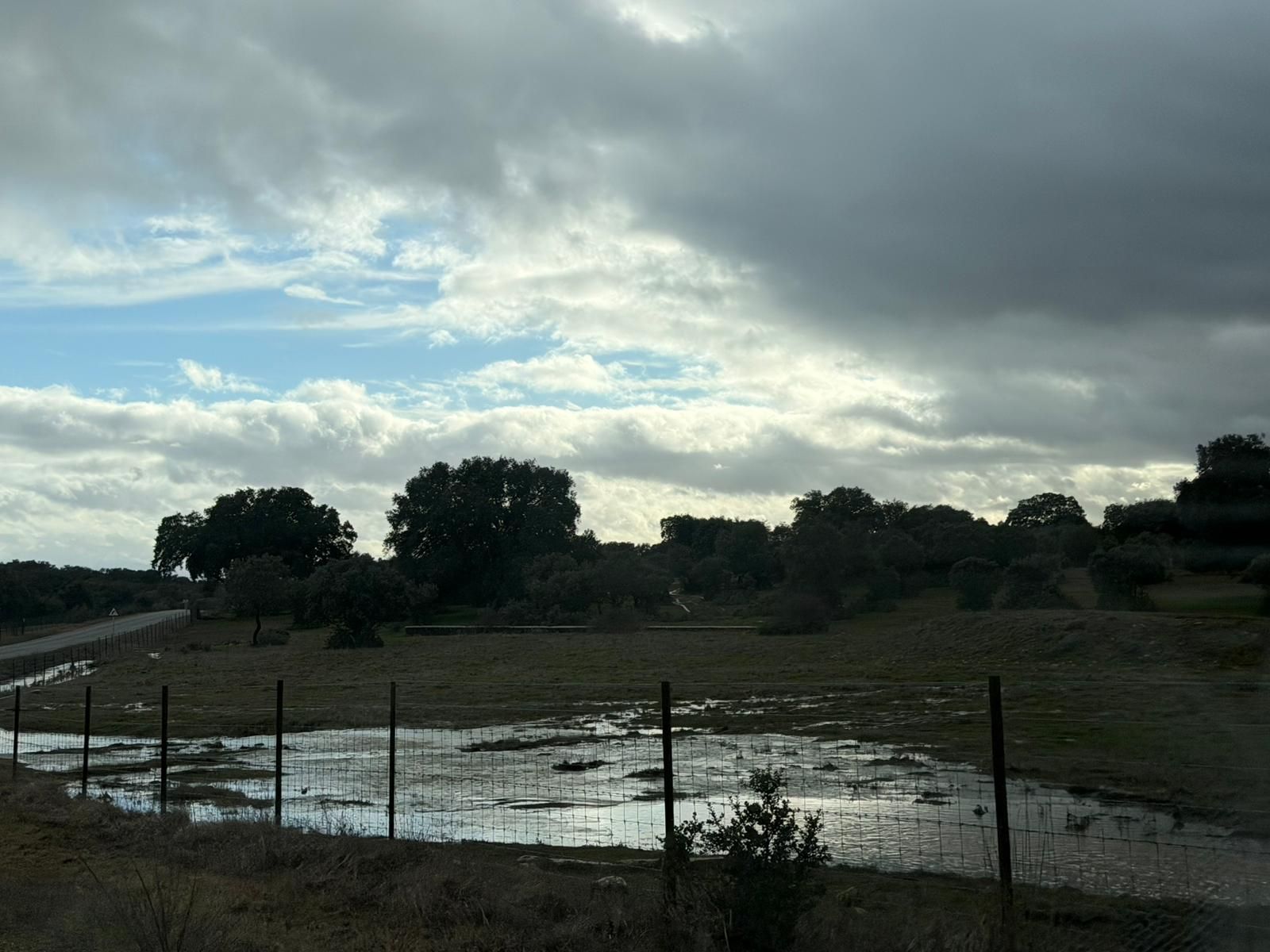 El campo anegado de agua en la zona del Campo Charro