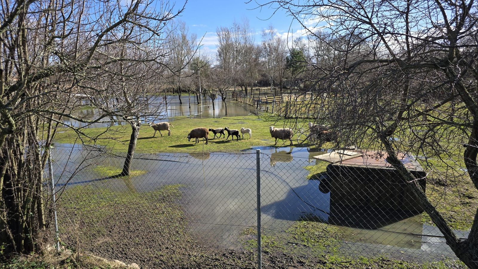 Río Almar desbordado en San Vicente  (7)
