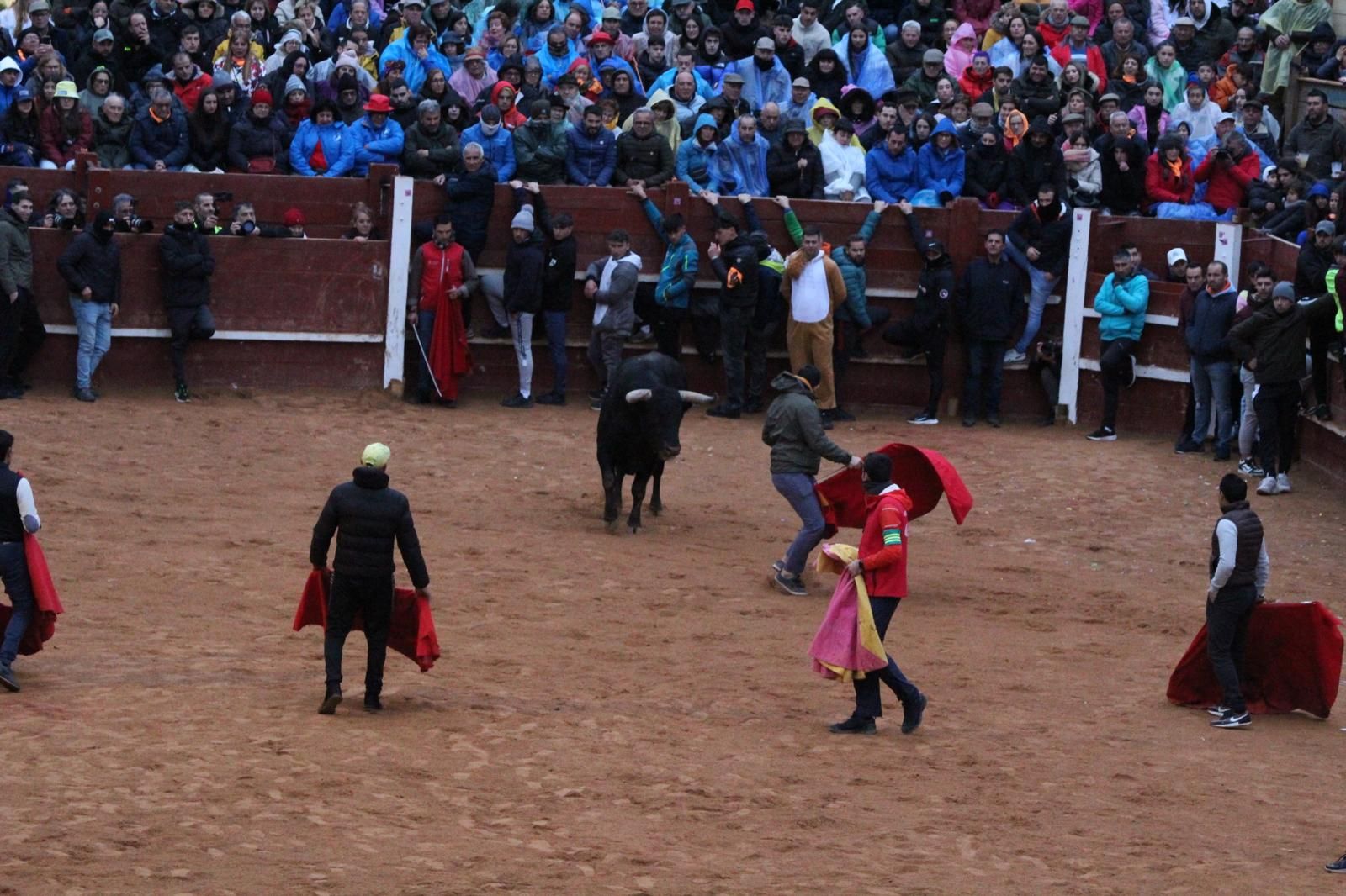 ambiente-y-capea-vespertina-sabado-de-carnaval-en-ciudad-rodrigo-2025-fotos-belen-hurtado-24