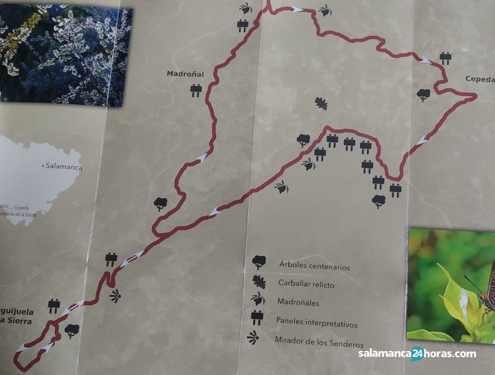 SENDERO MICOLO?GICO SIERRAWhatsApp Image 2020 10 20 at 11.54.29