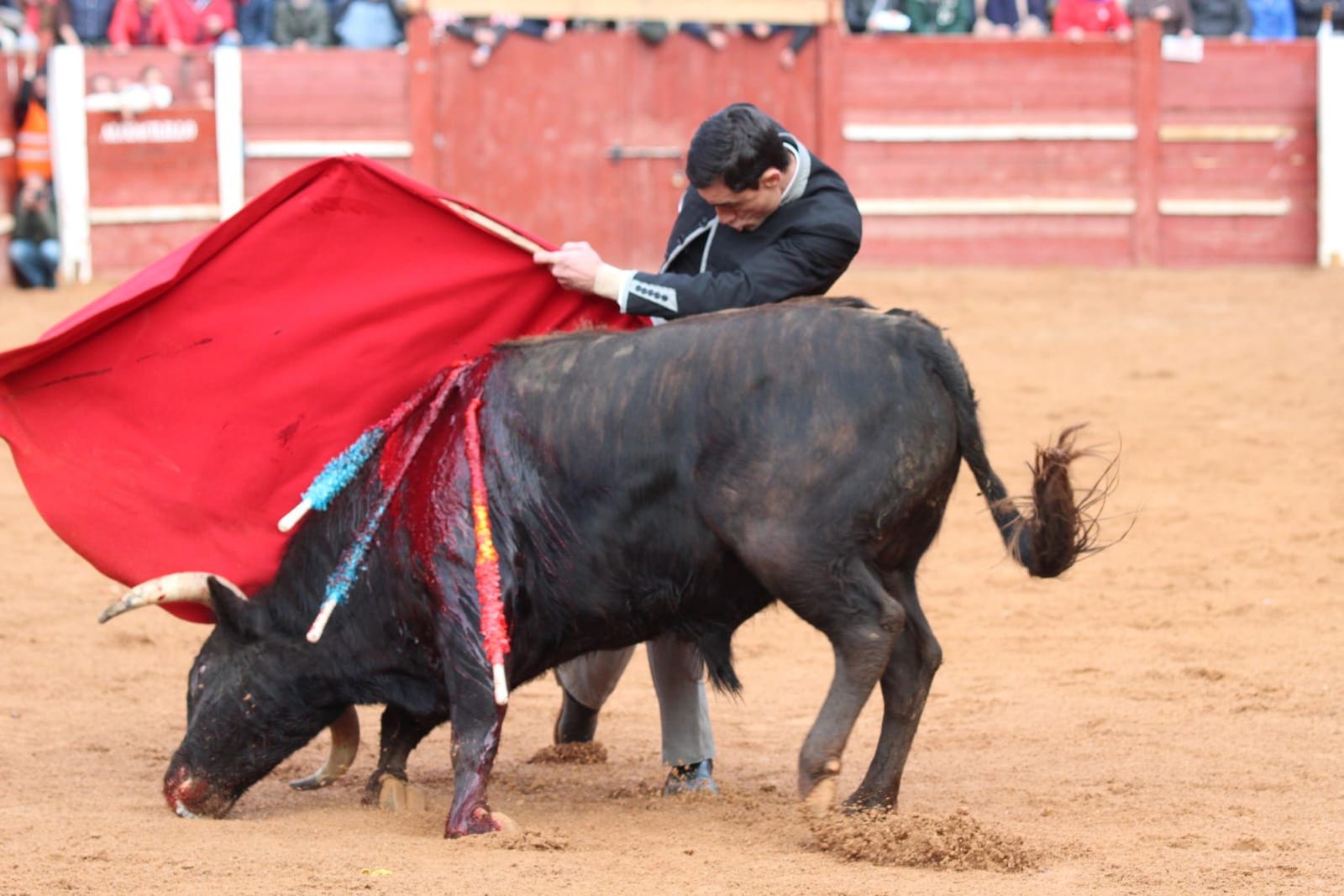 whatsapp-image-2023-02-21-at-17-51-58