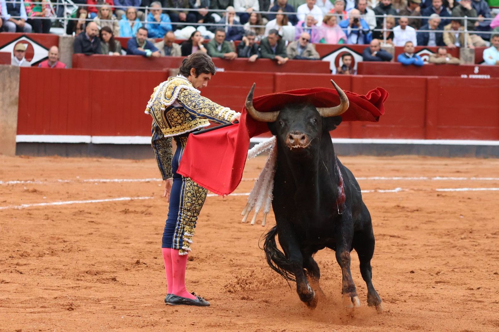 20230916182037-img-5484