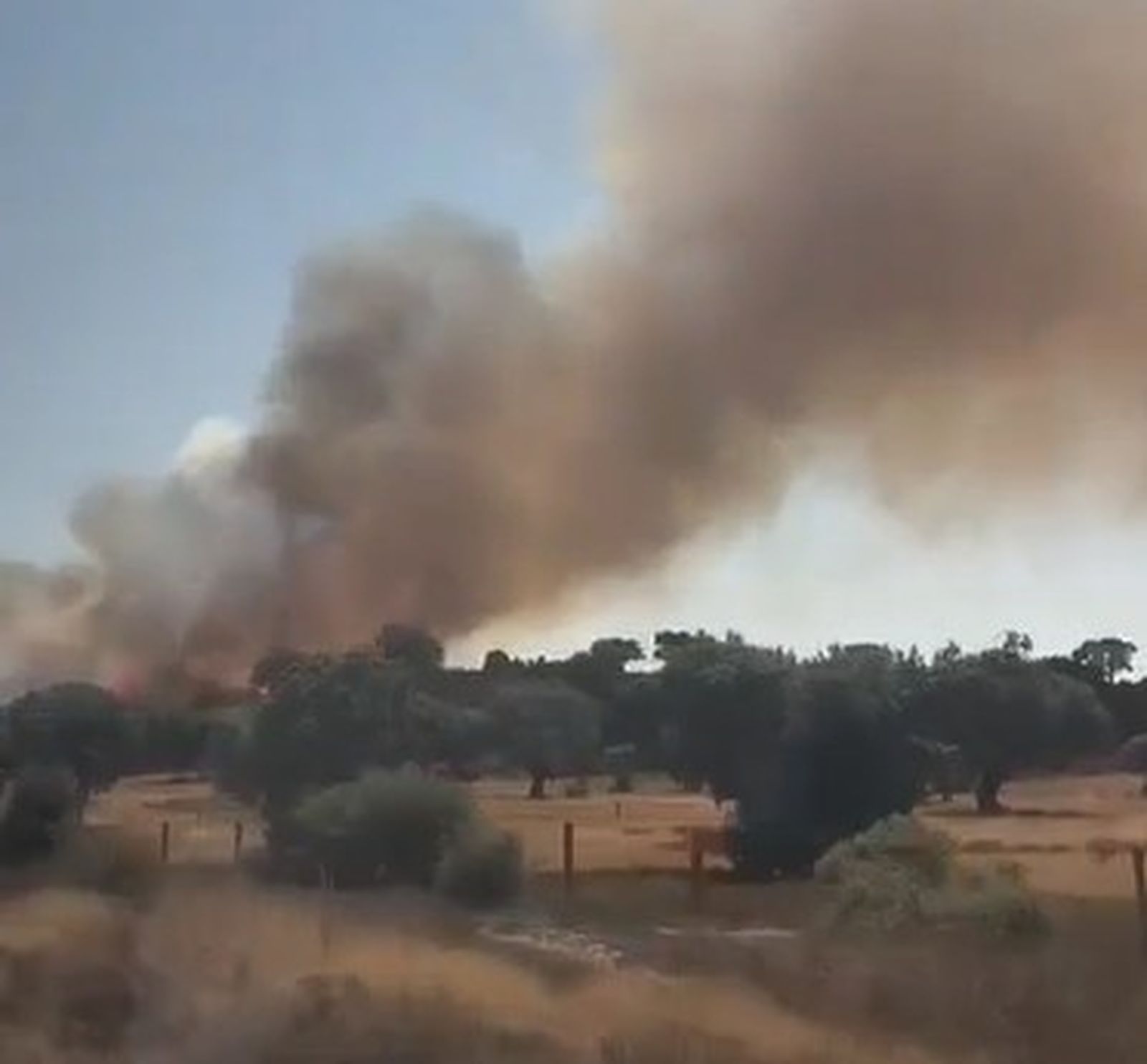 Captura de pantalla 2025-08-22 151046.jpg