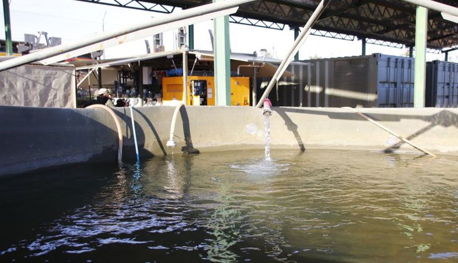 Entrenamientos de militares en Los Montalvos | Fotos: Andrea M