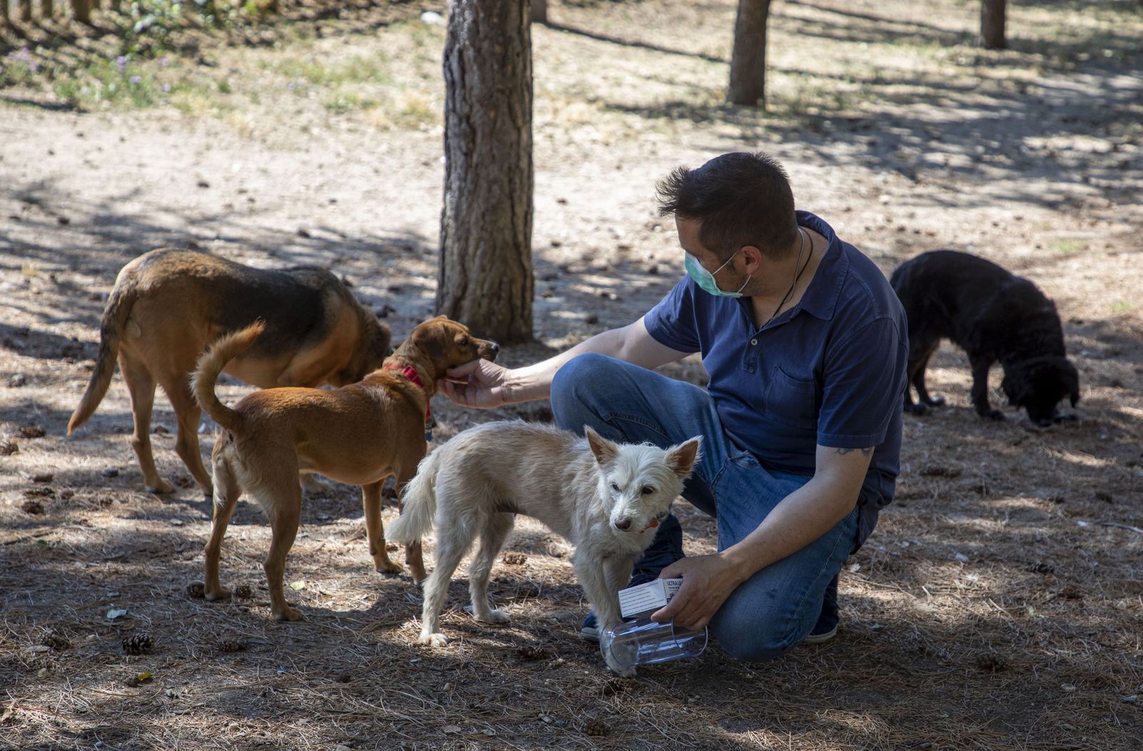 Zona de esparcimiento para perros en el parque de los Jesuitas | Susana Martín Agencia ICAL