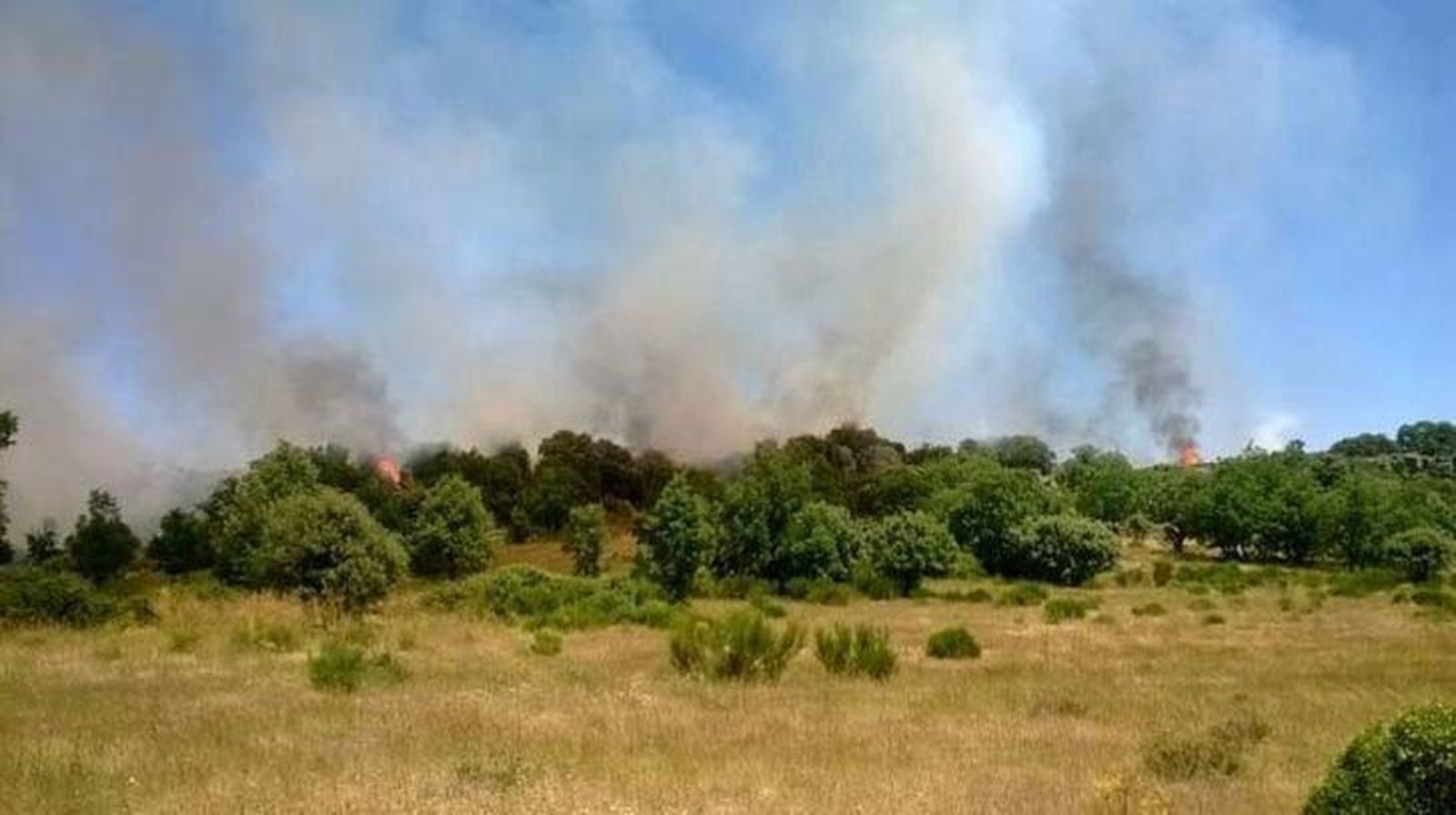El incendio forestal de Villalcampo, extinguido ayer de nuevo, se ha convertido en el más persistente del verano