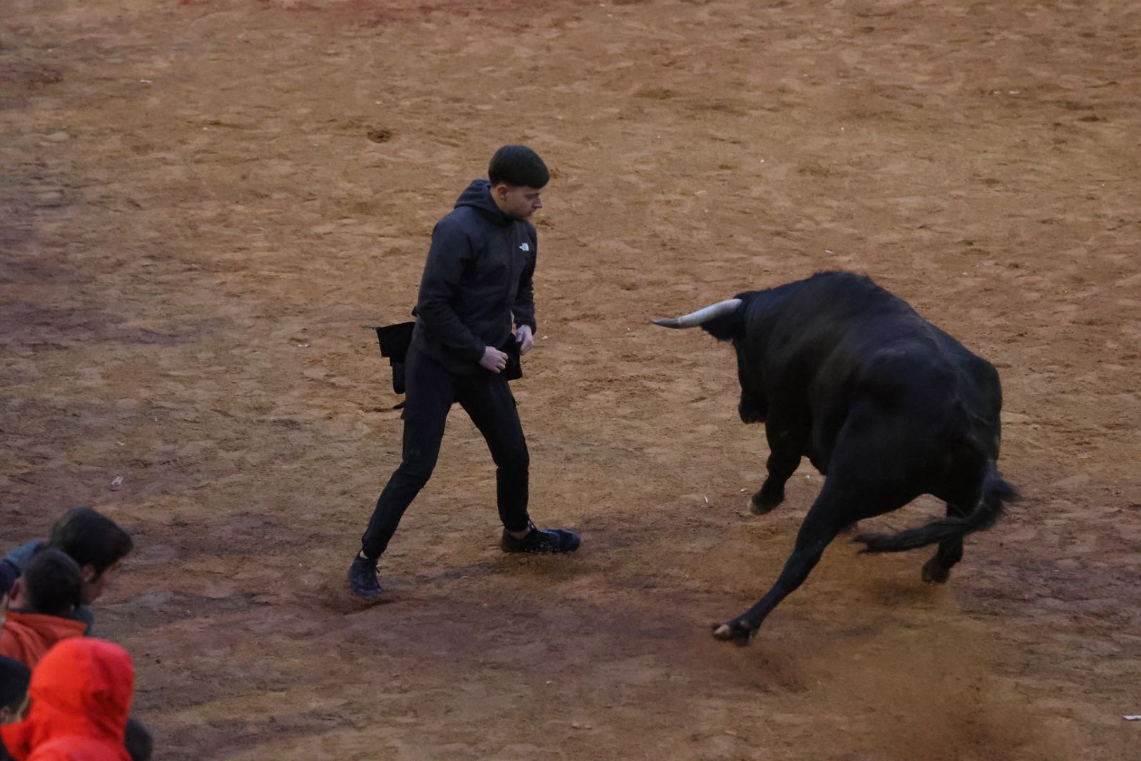 Capea y desencierro de domingo tarde en el Carnaval del Toro 2026