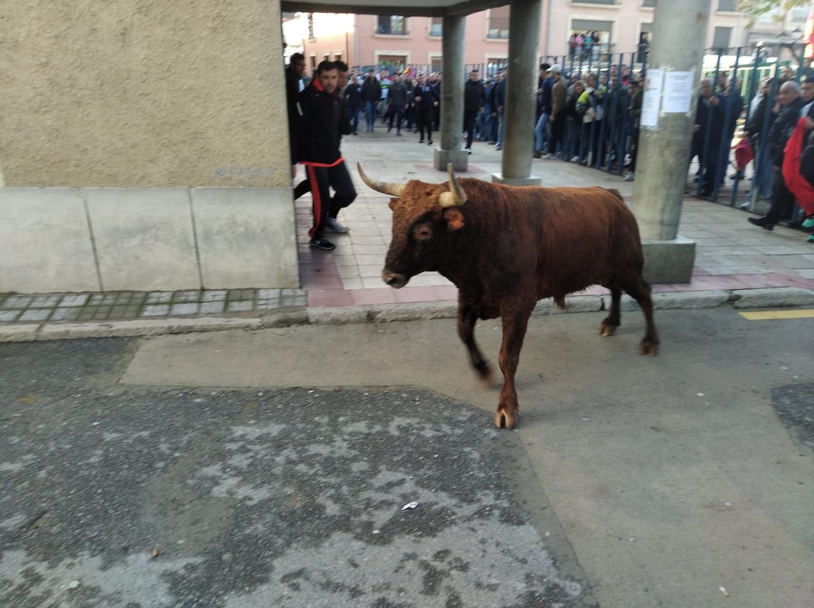 whatsapp-image-2022-12-10-at-13-54-23