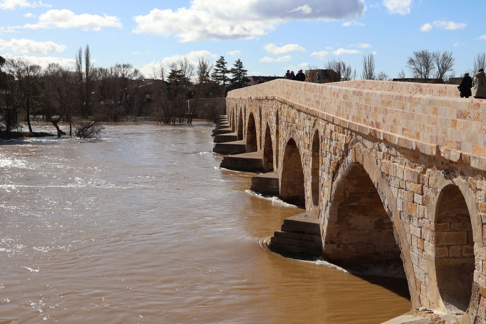 GALERÍA | El Duero muestra su fuerza con una importante crecida tras las lluvias