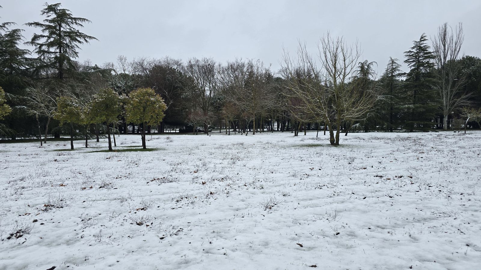 La nieve anega carreteras y tiñe de blanco Salamanca capital y provincia: imágenes de la nevada de este 28 de enero