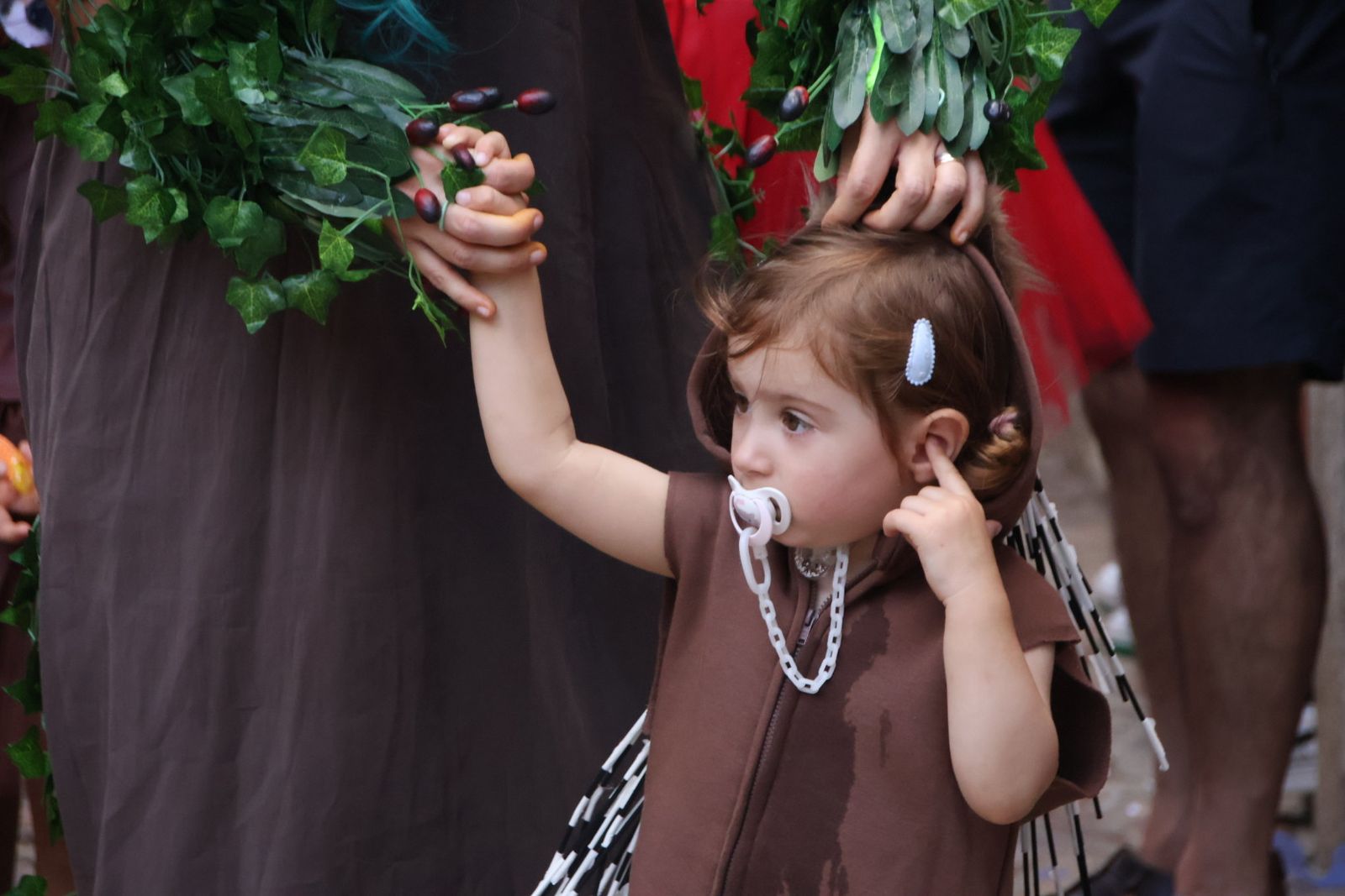 San Esteban de la Sierra, desfile de carrozas y disfraces