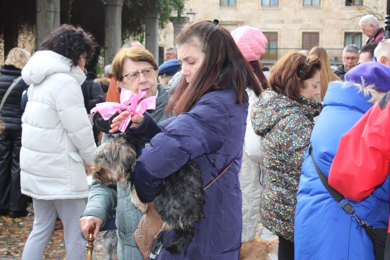san-anton-bendicion-de-animales-2024-foto-s24h-98