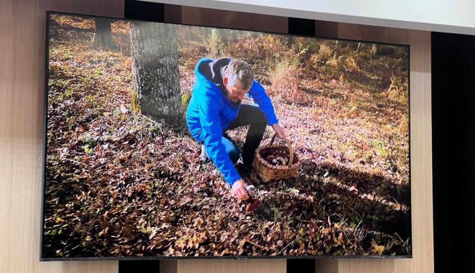 Proyección de un vídeo de turismo micológico en Salamanca 