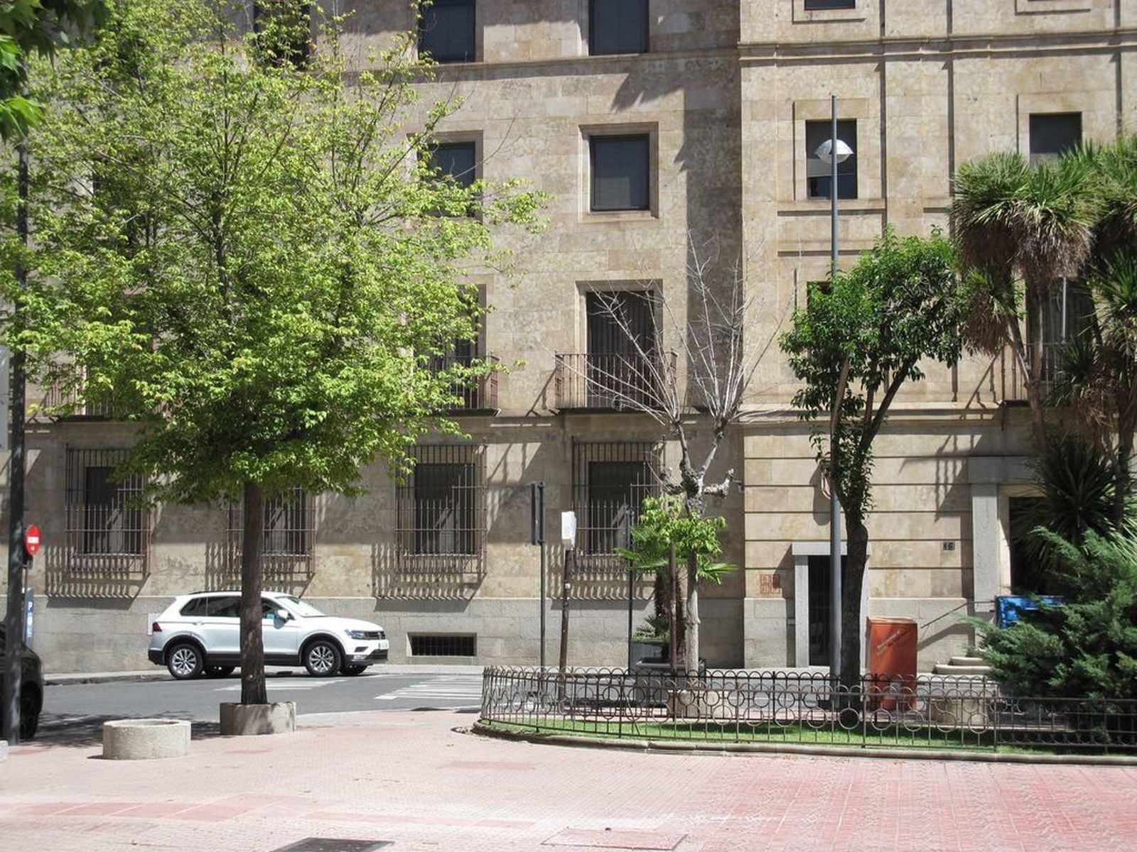 Ciudadanos del Patrimonio denuncia el deterioso en la salud y mantenimiento del arbolado urbano