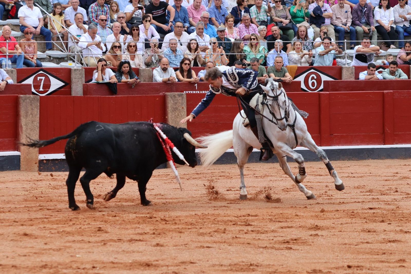 20230909172218-img-0441