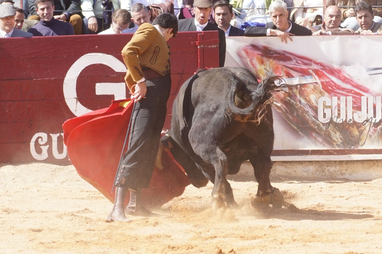 Festival taurino solidario por la esclerosis múltiple en Guijuelo