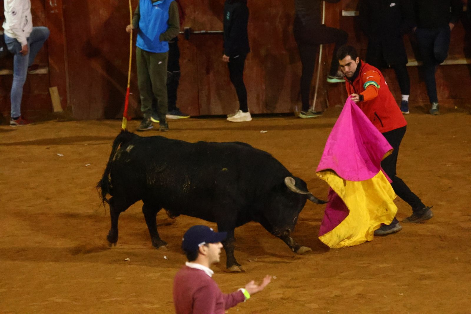 Capea nocturna de lunes en el Carnaval del Toro 2026