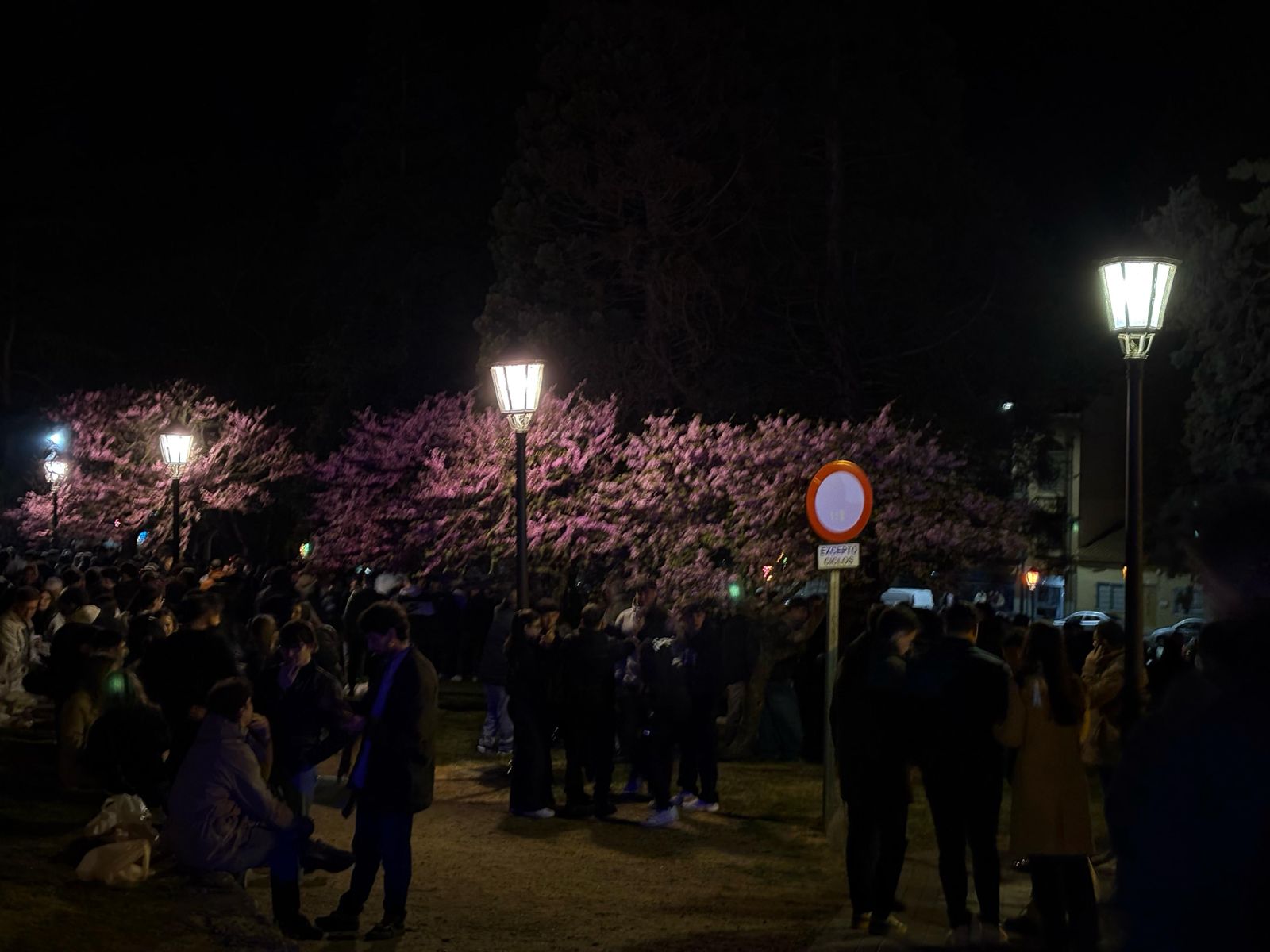 Botellón en el parque de San Martín