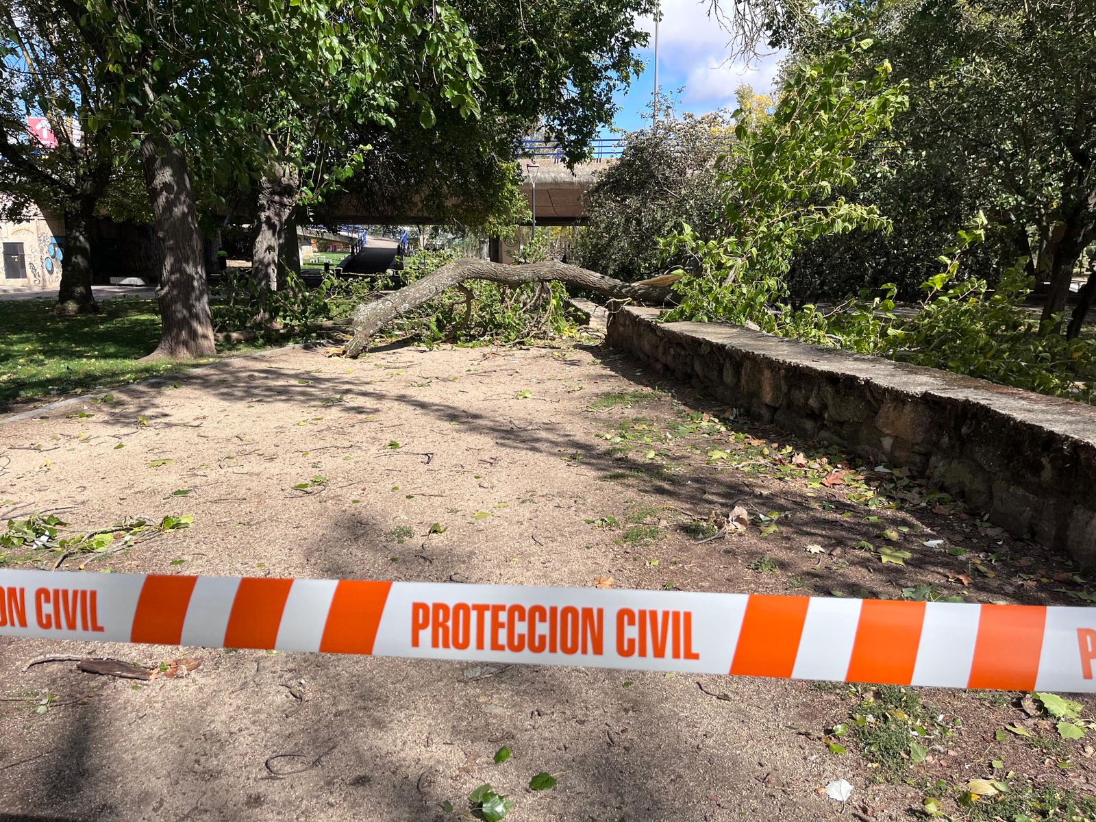 imagen-de-whatsapp-2024-10-09-a-las-17-45-01-82883a04