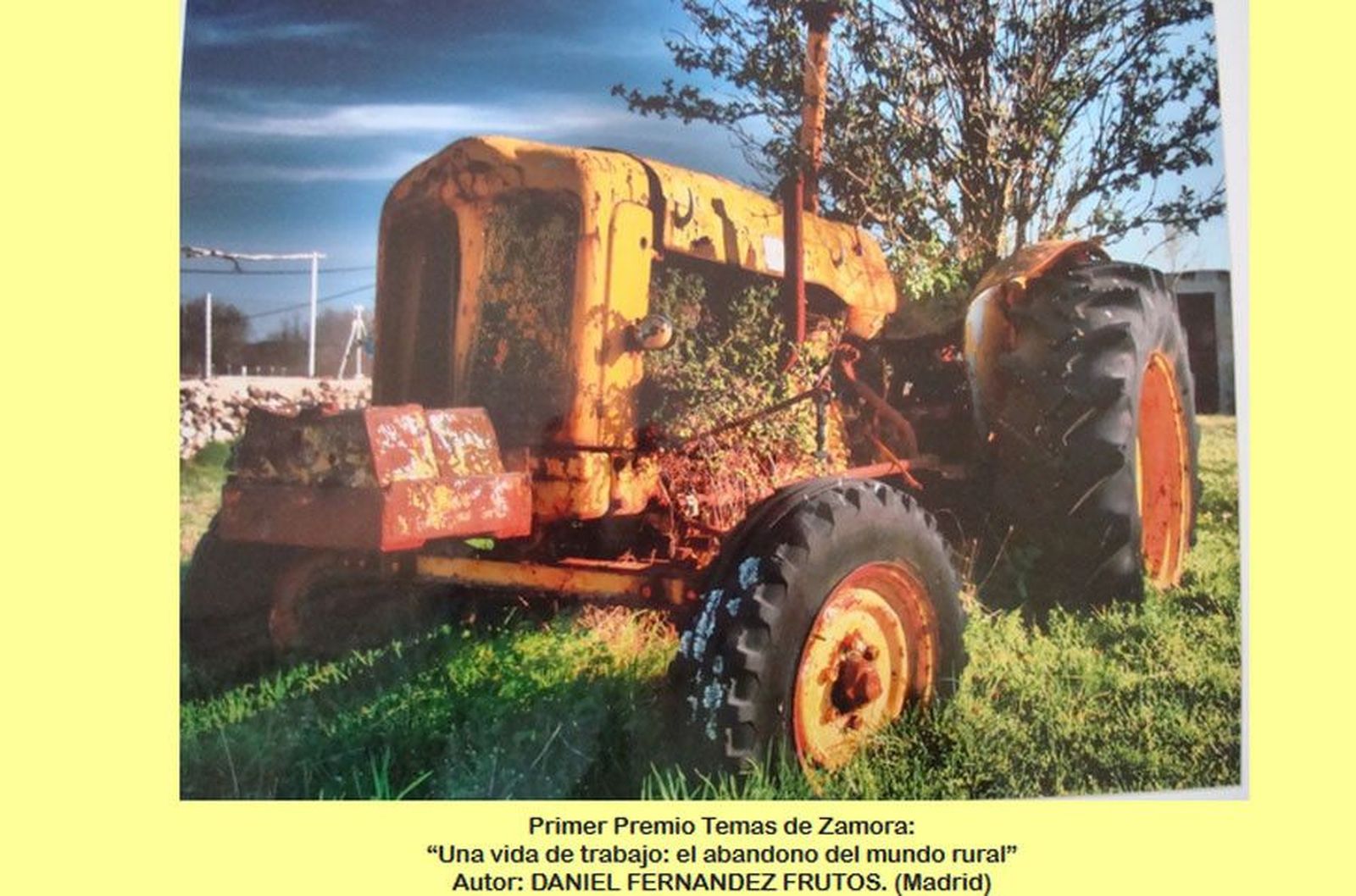 Concurso diego losada