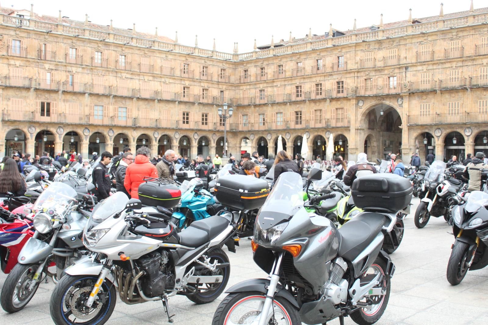 whatsapp-image-2025-03-02-at-10-18-52-21