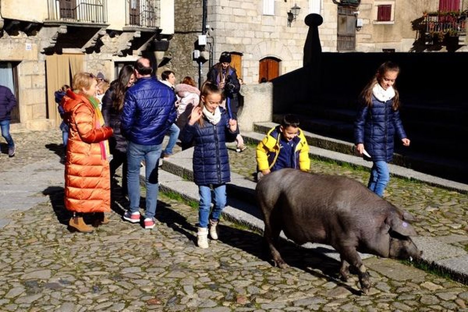 La Alberca acoge la tradicional rifa del Marrano de San Antón y la bendición de los animales   JESÚS FORMIGO : ICAL