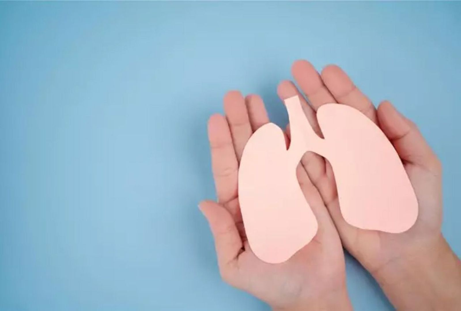 Pulmones. Agencia Raíz. Archivo EP