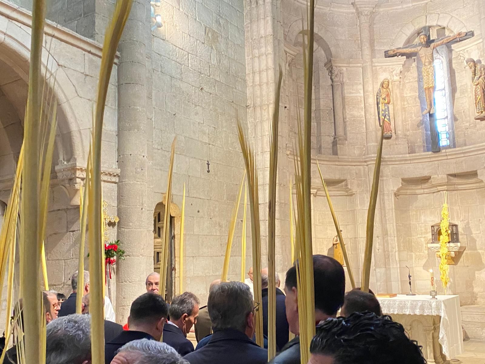 GALERÍA | Zamora celebra la bendición de palmas en este Domingo de Ramos