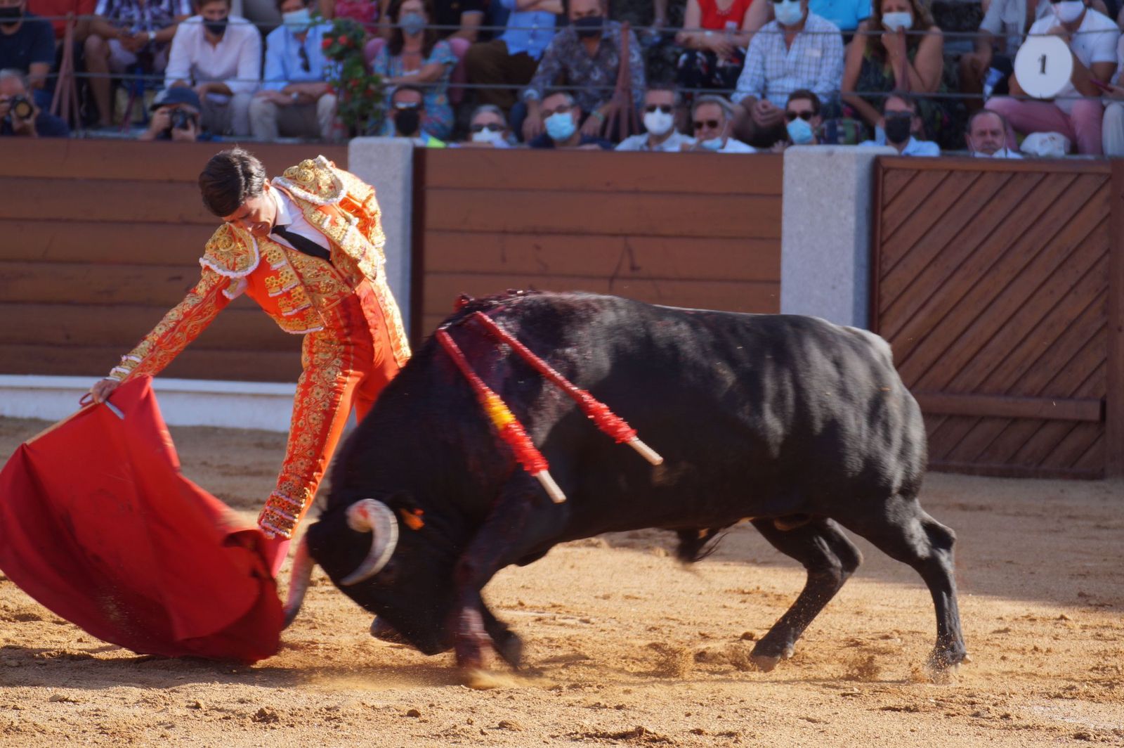 toros-en-guijuelo-15-de-agosto-10