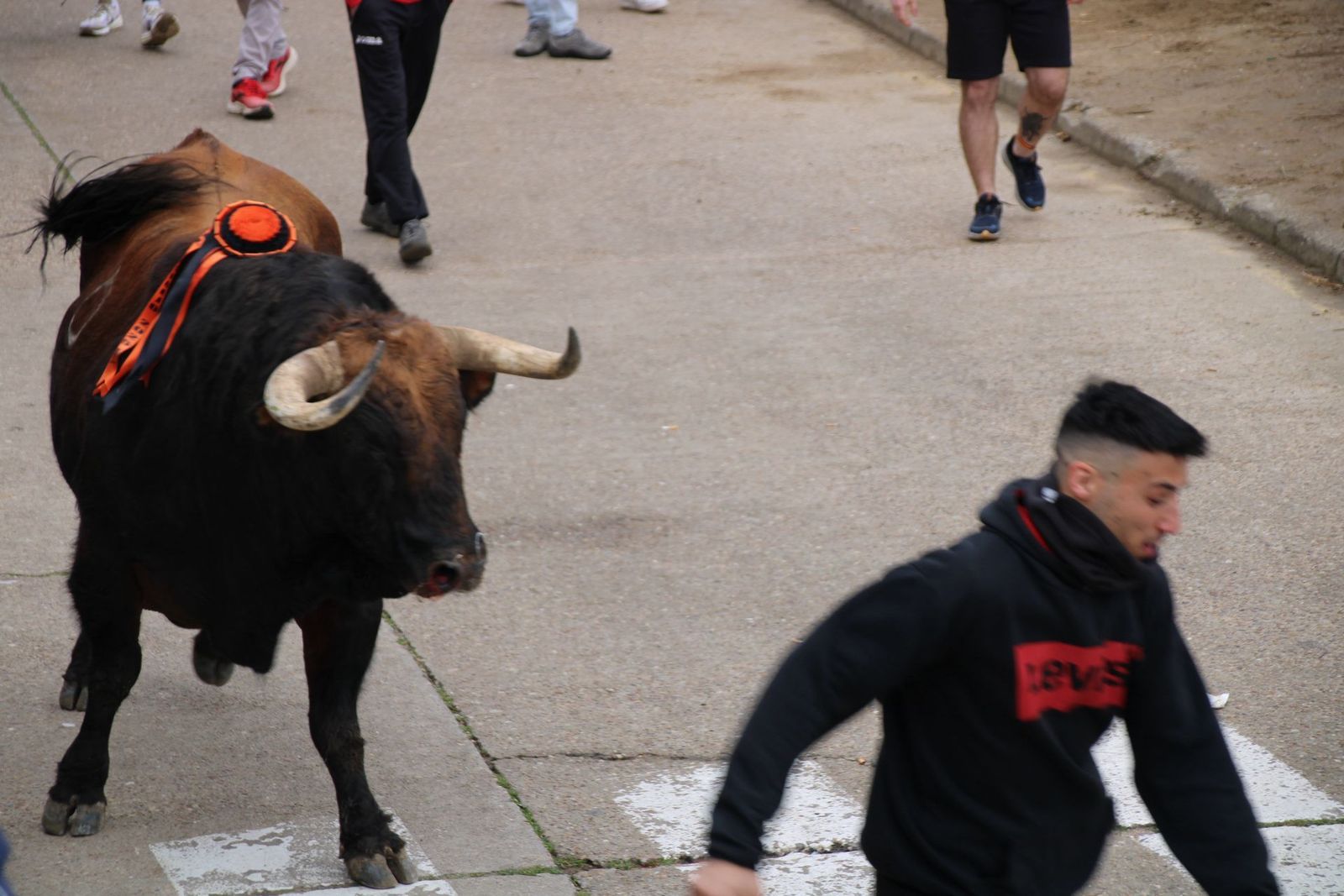 whatsapp-image-2025-03-01-at-11-56-25