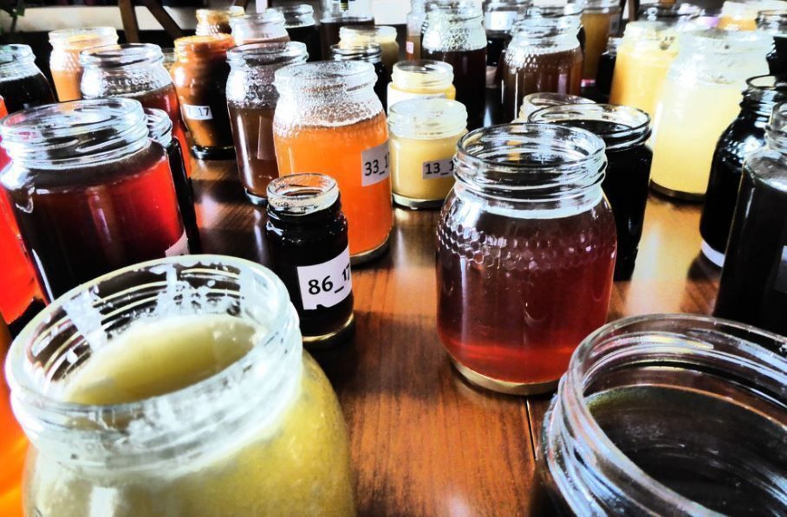 Cata Mieladictos 2017 y sus mieles