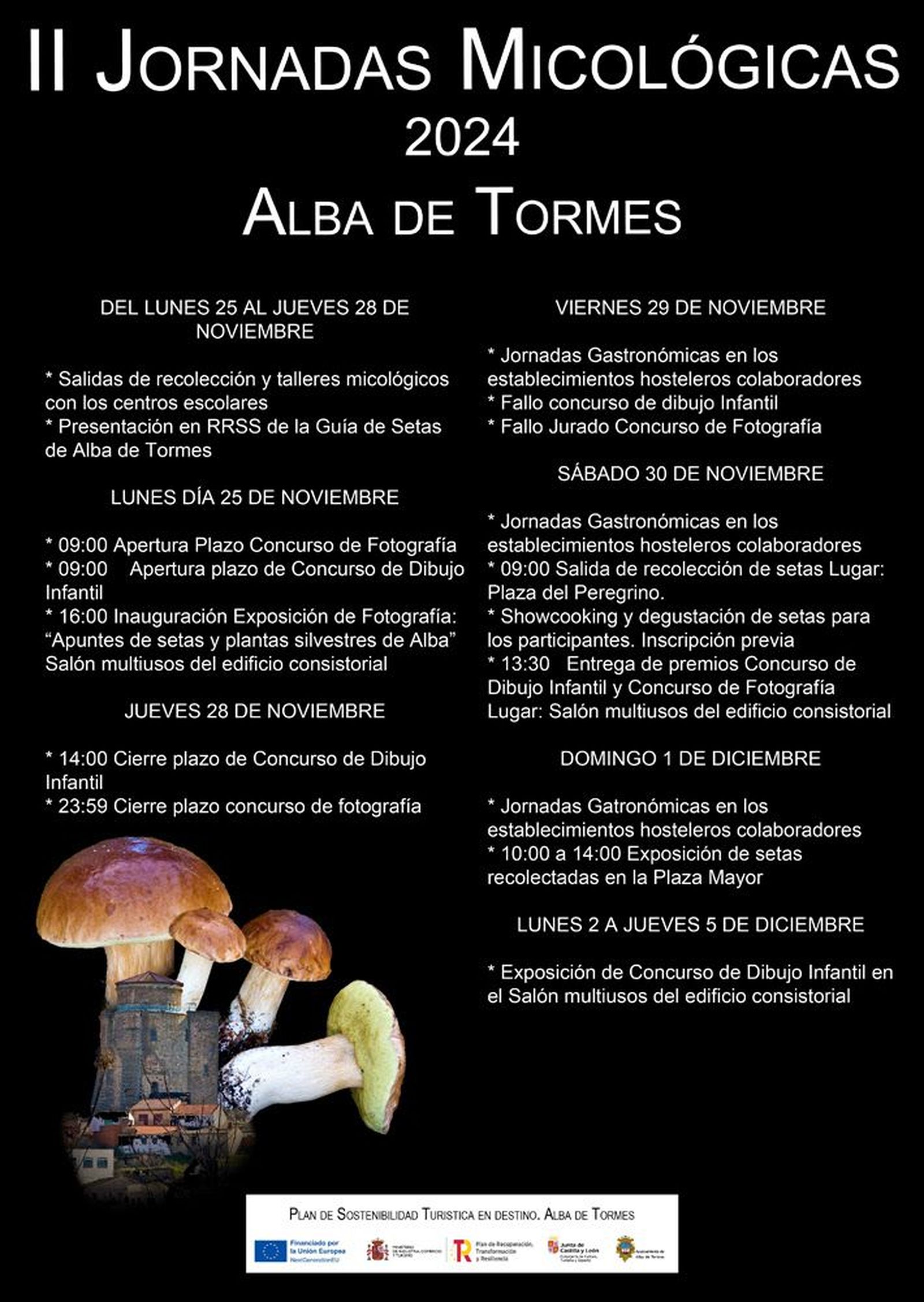 Jornadas setas Alba de Tormes