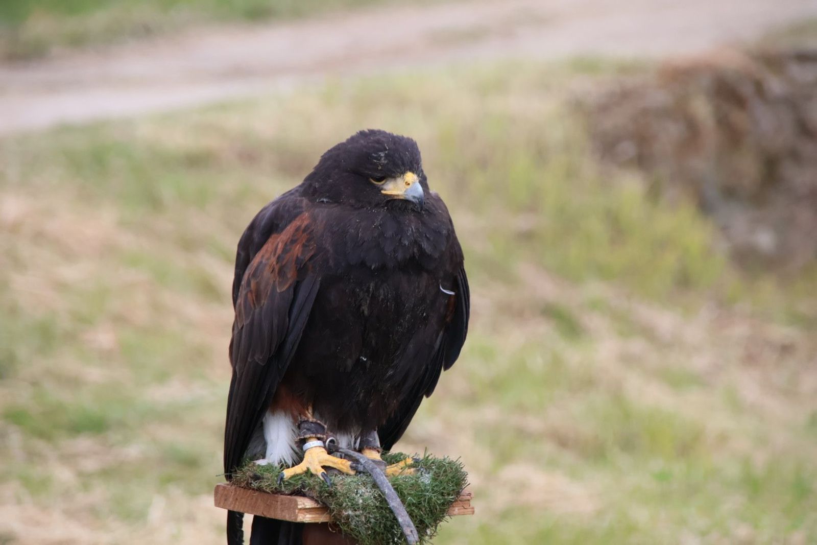 20240501102154-img-2871